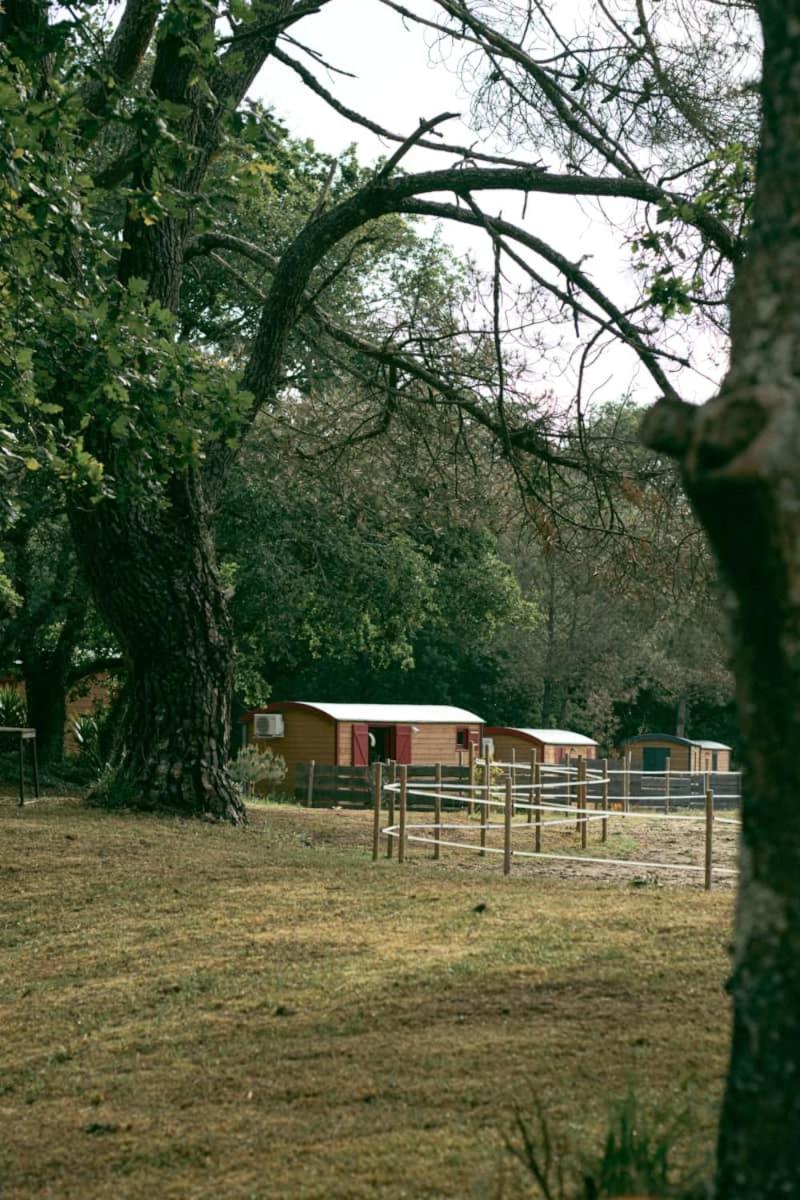 Hotel Roulottes Cocooning Au Coeur Des Landes Mées Esterno foto