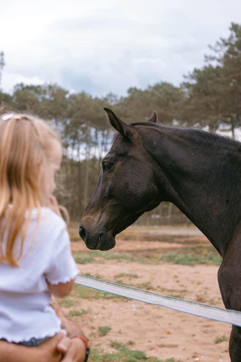 Hotel Roulottes Cocooning Au Coeur Des Landes Mées Esterno foto