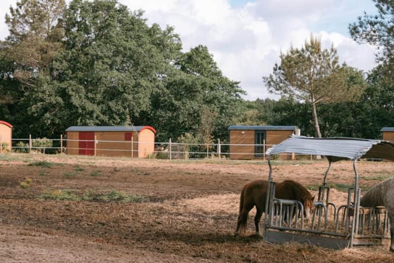 Hotel Roulottes Cocooning Au Coeur Des Landes Mées Esterno foto